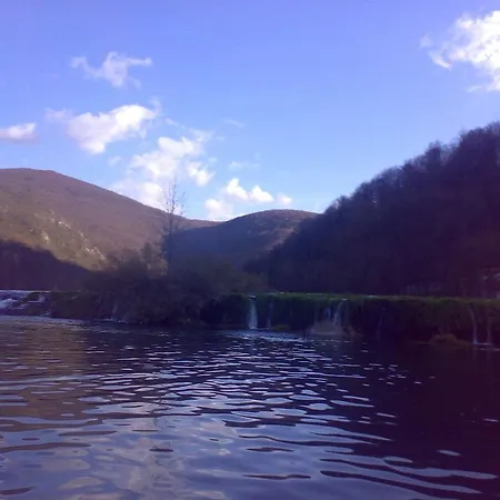 Holiday Pauk Dvoslap