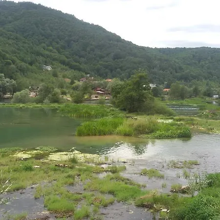 Villa Holiday Pauk Dvoslap *